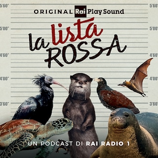 Copertina La lista rossa