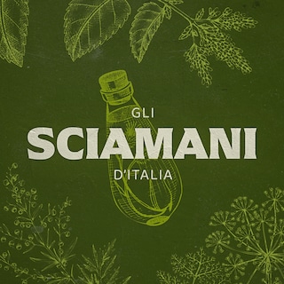 Copertina Gli sciamani d'Italia