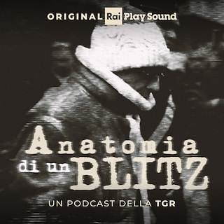 Copertina Anatomia di un blitz