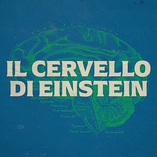 Copertina Il cervello di Einstein