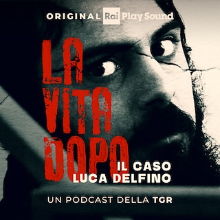 Copertina La vita dopo. Il caso Luca Delfino