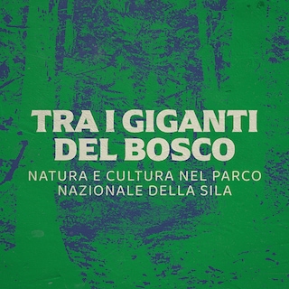 Copertina Tra i giganti del bosco - Natura e cultura nel Parco Nazionale della Sila