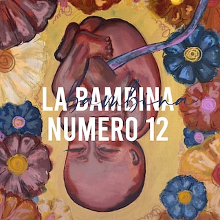 Copertina La bambina numero 12