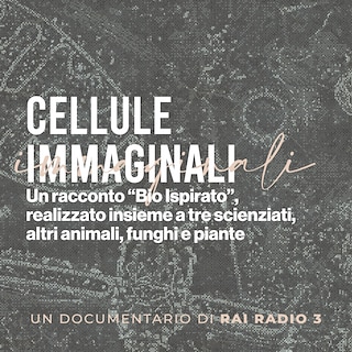 Copertina Cellule immaginali