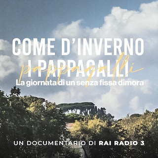 Copertina Come d'inverno i pappagalli